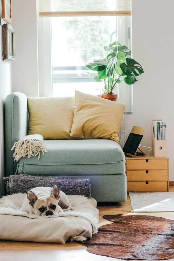 Où acheter ses décorations de maison?