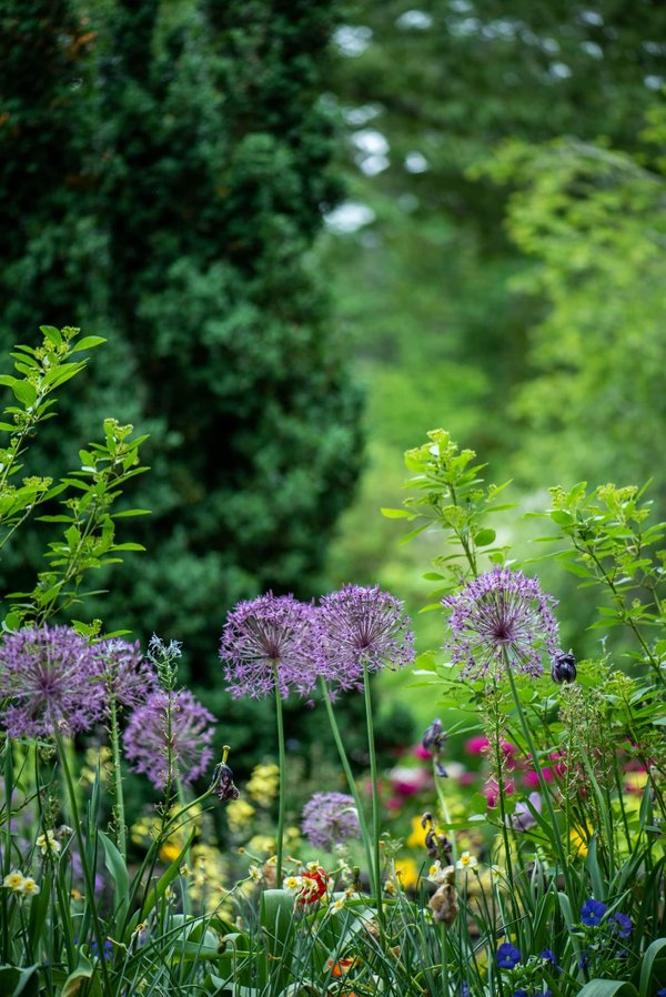 Comment développer un programme de restauration des zones humides en milieu périurbain pour favoriser la biodiversité ?